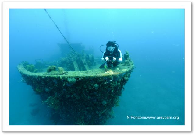 Epave Franjack Guadeloupe rcif artificiel ponzone arevpam
