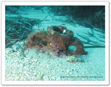 archeologie-amphore