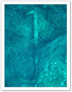 epave-porquerolles-archeologie